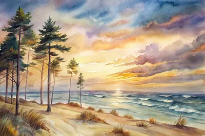 Darß Weststrand