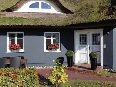 Ein Garten an der Unterkunft Rudi