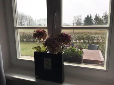 Ein Garten an der Unterkunft Rudi