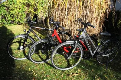 Radfahren an der Unterkunft Käptn Brass Villa 4 App 6 Sonnenfänger oder in der Nähe