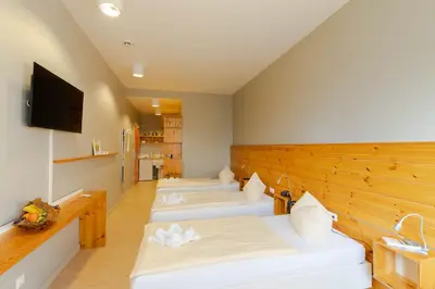 TV/Unterhaltungsangebot in der Unterkunft Hotel Garni - Haus 54