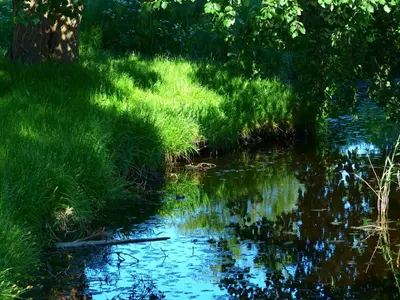 Naturlandschaft in der Nähe des Hotels