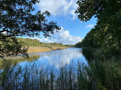 Naturlandschaft in der Nähe der Ferienwohnung