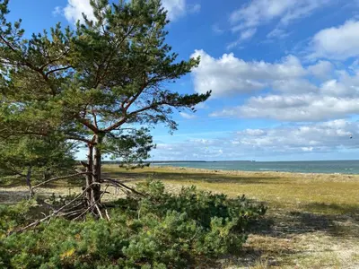Naturlandschaft in der Nähe der Ferienwohnung