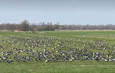 Naturlandschaft in der Nähe der Ferienwohnung
