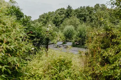 Naturlandschaft in der Nähe der Pension