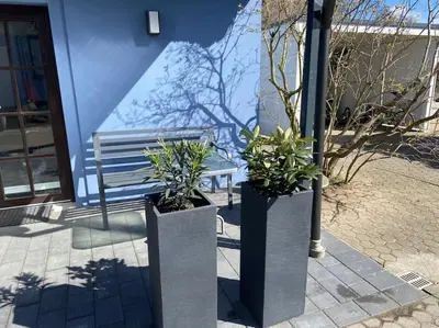 Ein Garten an der Unterkunft Dat Smucke Reethus Erdgeschoss