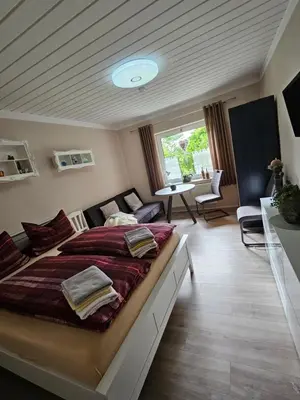 TV/Unterhaltungsangebot in der Unterkunft Ferienwohnung 2 Am Park