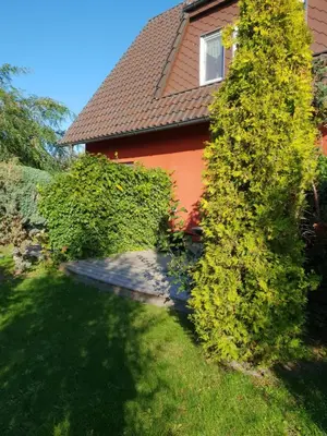 Ein Garten an der Unterkunft Ferienhaus-Windflüchter Hirtenweg 3B