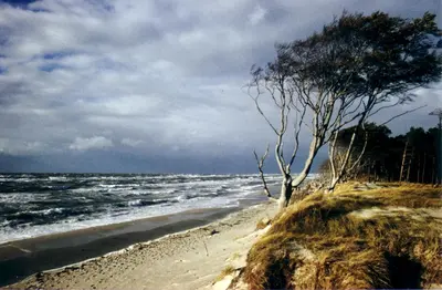 Naturlandschaft in der Nähe des Ferienhauses
