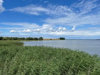 Naturlandschaft in der Nähe des Ferienhauses