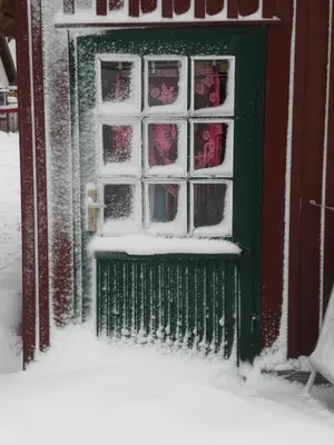 Eichenblick im Winter