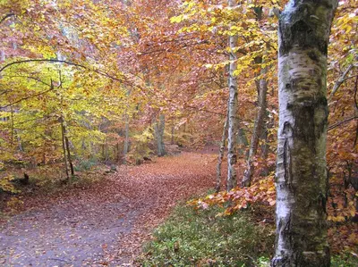 Naturlandschaft in der Nähe der Ferienwohnung