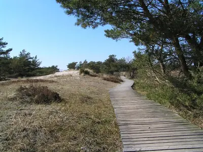 Naturlandschaft in der Nähe der Ferienwohnung