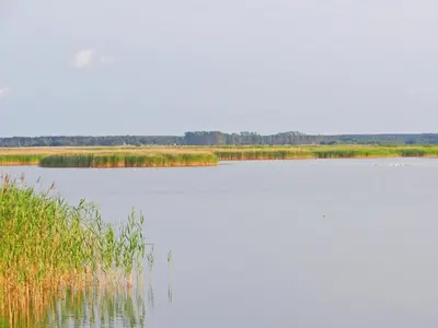 Naturlandschaft in der Nähe des Ferienhauses
