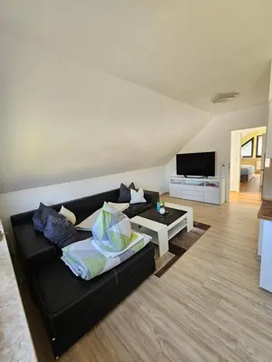 TV/Unterhaltungsangebot in der Unterkunft Haus am Bodden