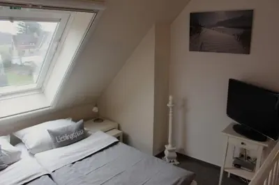 TV/Unterhaltungsangebot in der Unterkunft Godeke Michels Ferienwohnung 24 Seestr5b