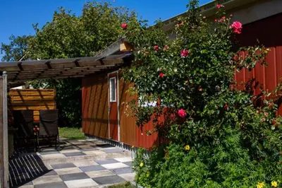 Ein Garten an der Unterkunft Ferienwohnung Bungalow Palliwoda Prerow
