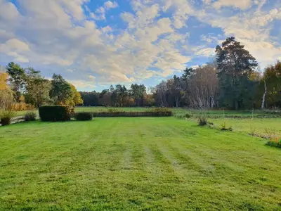 Ein Garten an der Unterkunft Das Gelbe vom Darss 2
