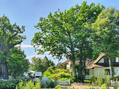 Ein Garten an der Unterkunft Romantischer Winkel Fewo 60b 4