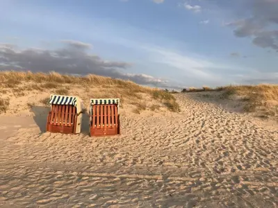 Naturlandschaft in der Nähe der Ferienwohnung