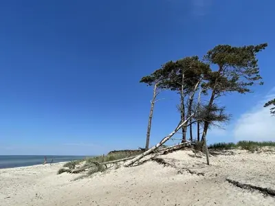 Naturlandschaft in der Nähe der Ferienwohnung
