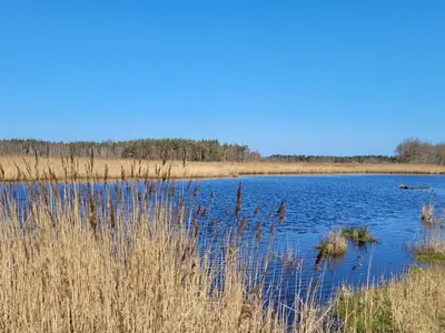 Grundriss der Unterkunft Hustadt in the heart of Zingst