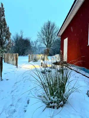 Ferienhaus am Saaler Bodden im Winter