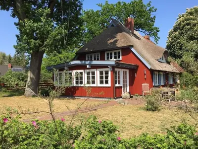 Ein Garten an der Unterkunft Ellas Kate