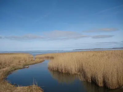 Naturlandschaft in der Nähe des Ferienhauses