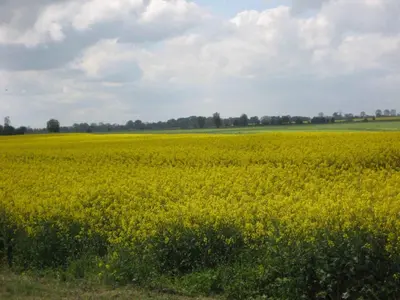 Naturlandschaft in der Nähe des Ferienhauses