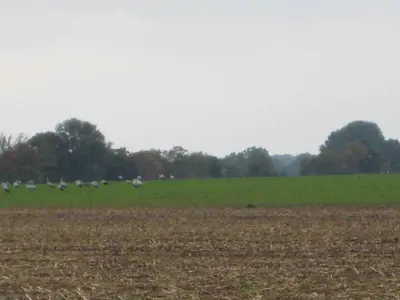 Grundriss der Unterkunft Holiday home Groß Kordshagen - Ostsee 2741