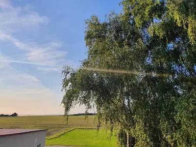 Naturlandschaft in der Nähe der Ferienwohnung