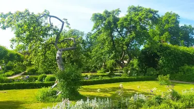 Ein Garten an der Unterkunft Ferienwohnung Apfelgarten am Pfarrgarten Starkow