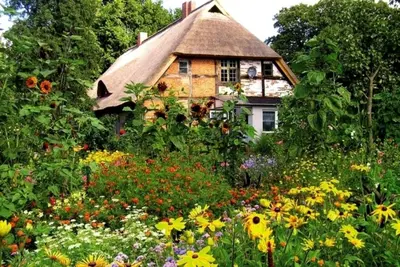 Ein Garten an der Unterkunft Ferienwohnung Apfelgarten am Pfarrgarten Starkow