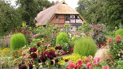 Ein Garten an der Unterkunft Ferienwohnung Birnengarten am Pfarrgarten Starkow