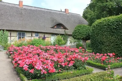 Ein Garten an der Unterkunft Ferienwohnung Rosengarten am Pfarrgarten Starkow