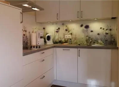 Küche/Küchenzeile in der Unterkunft Achtern Darsswald E1