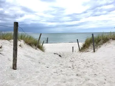 Naturlandschaft in der Nähe der Ferienwohnung