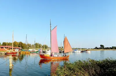 Naturlandschaft in der Nähe der Ferienwohnung