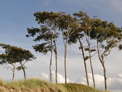 Naturlandschaft in der Nähe des Ferienhauses