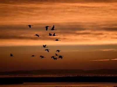 Blick auf den Sonnenuntergang/Sonnenaufgang von des Ferienhauses aus oder aus der Nähe