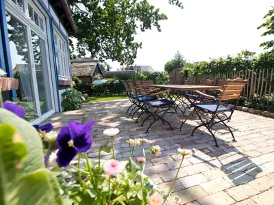 Ein Garten an der Unterkunft Anchorage Darß Modern retreat