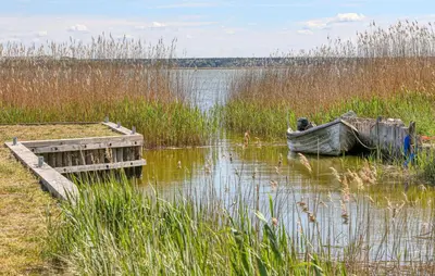 Naturlandschaft in der Nähe des Ferienhauses