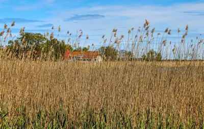 Naturlandschaft in der Nähe des Ferienhauses