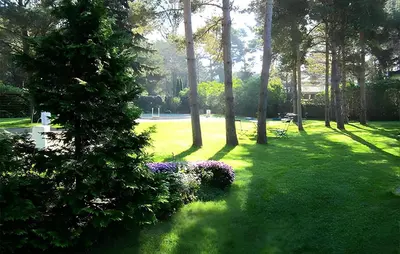 Ein Garten an der Unterkunft Ferienwohnung Pruchten