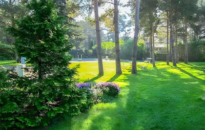 Ein Garten an der Unterkunft Ferienwohnung Pruchten