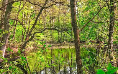 Naturlandschaft in der Nähe des Ferienhauses