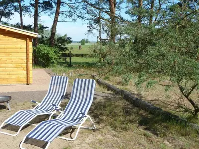 Ein Garten an der Unterkunft Ferienhaus Boddenblick mit Sauna