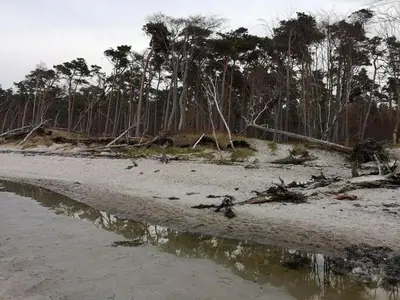Naturlandschaft in der Nähe des Ferienhauses